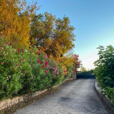 Apartamento Domaine Mare E Monti - T1 Le Maquis Albitreccia Exterior foto